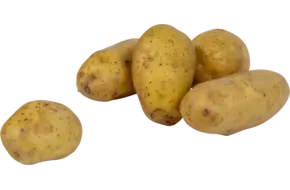 Kook aardappelen vastkokend 1kg